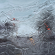 Illustration for article titled Gregory Thielkers Photorealistic Paintings